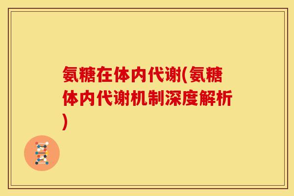 氨糖在体内代谢(氨糖体内代谢机制深度解析)