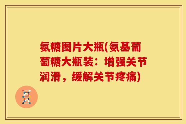 氨糖图片大瓶(氨基葡萄糖大瓶装：增强关节润滑，缓解关节疼痛)