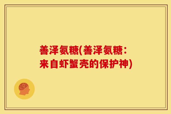 善泽氨糖(善泽氨糖：来自虾蟹壳的保护神)