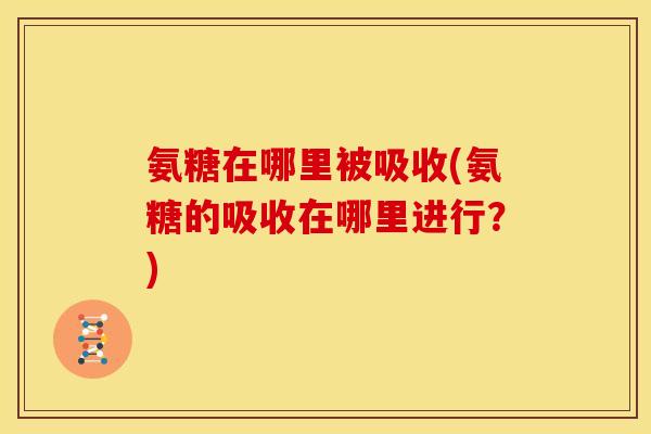 氨糖在哪里被吸收(氨糖的吸收在哪里进行？)