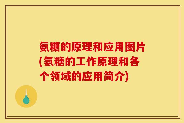 氨糖的原理和应用图片(氨糖的工作原理和各个领域的应用简介)