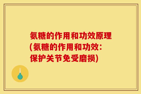 氨糖的作用和功效原理(氨糖的作用和功效：保护关节免受磨损)