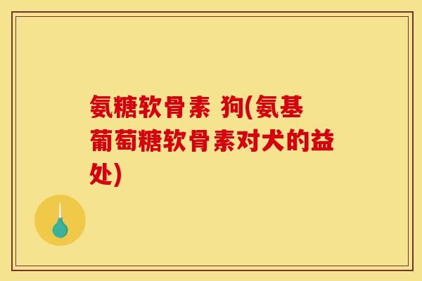 氨糖软骨素 狗(氨基葡萄糖软骨素对犬的益处)