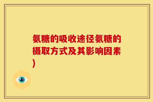 氨糖的吸收途径氨糖的摄取方式及其影响因素)