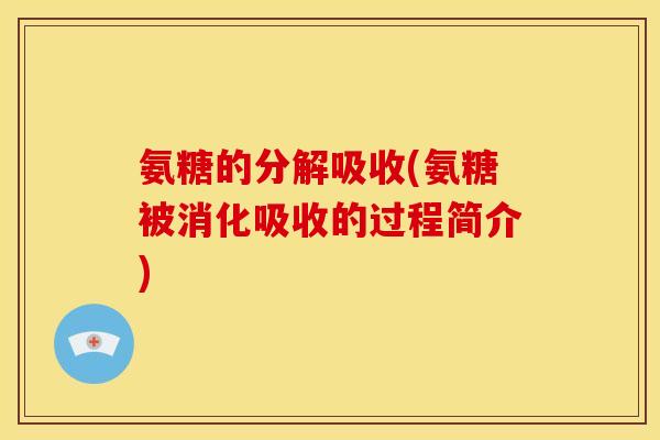 氨糖的分解吸收(氨糖被消化吸收的过程简介)