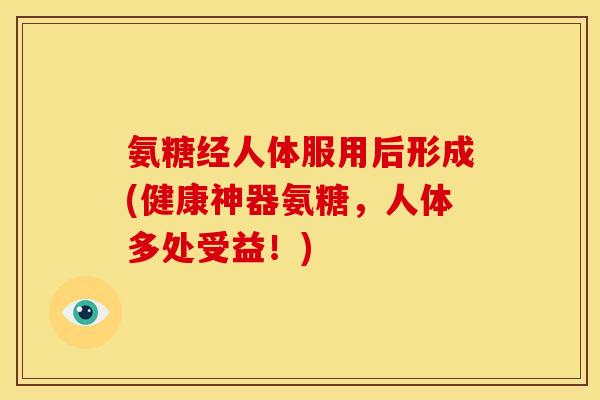 氨糖经人体服用后形成(健康神器氨糖，人体多处受益！)