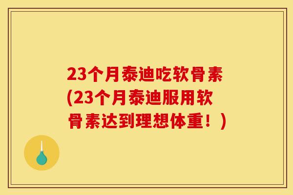 23个月泰迪吃软骨素(23个月泰迪服用软骨素达到理想体重！)
