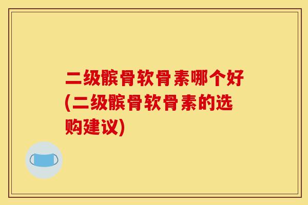 二级髌骨软骨素哪个好(二级髌骨软骨素的选购建议)-第1张图片-关节骑士