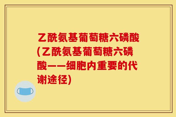 乙酰氨基葡萄糖六磷酸(乙酰氨基葡萄糖六磷酸——细胞内重要的代谢途径)-第1张图片-关节骑士