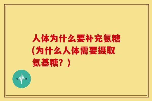 人体为什么要补充氨糖(为什么人体需要摄取氨基糖？)