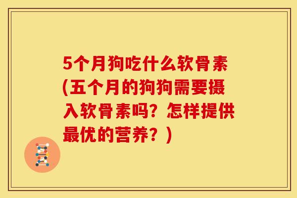 5个月狗吃什么软骨素(五个月的狗狗需要摄入软骨素吗？怎样提供最优的营养？)