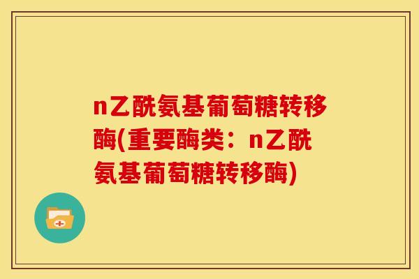 n乙酰氨基葡萄糖转移酶(重要酶类：n乙酰氨基葡萄糖转移酶)