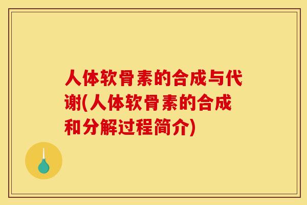 人体软骨素的合成与代谢(人体软骨素的合成和分解过程简介)