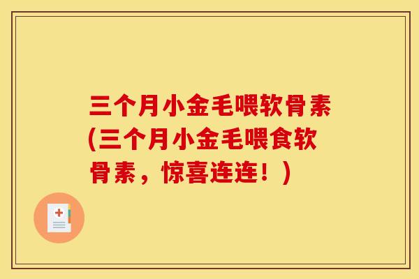 三个月小金毛喂软骨素(三个月小金毛喂食软骨素，惊喜连连！)
