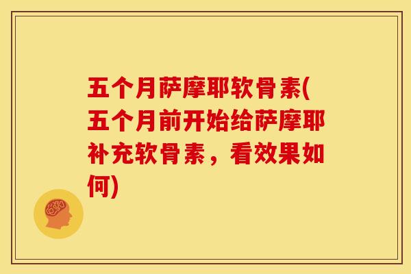 五个月萨摩耶软骨素(五个月前开始给萨摩耶补充软骨素，看效果如何)