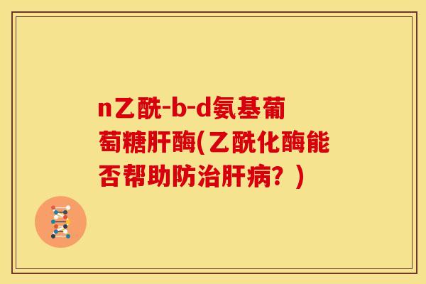 n乙酰-b-d氨基葡萄糖肝酶(乙酰化酶能否帮助防治肝病？)