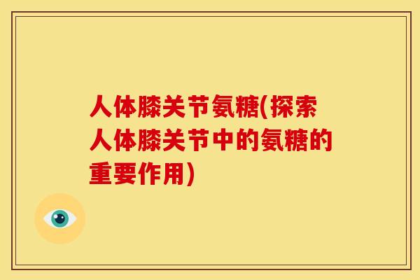 人体膝关节氨糖(探索人体膝关节中的氨糖的重要作用)