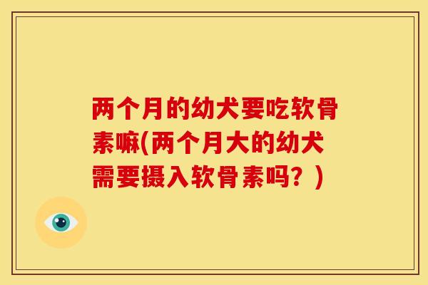 两个月的幼犬要吃软骨素嘛(两个月大的幼犬需要摄入软骨素吗?)-第1张图片-关节骑士 两个月的幼犬要吃软骨素嘛(两个月大的幼犬需要摄入软骨素吗?)-第1张图片-关节骑士