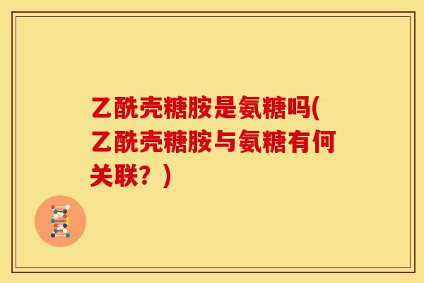 乙酰壳糖胺是氨糖吗(乙酰壳糖胺与氨糖有何关联？)