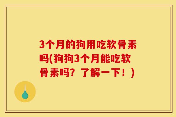 3个月的狗用吃软骨素吗(狗狗3个月能吃软骨素吗？了解一下！)
