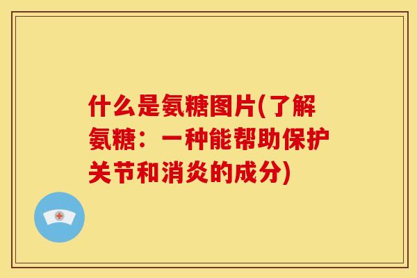 什么是氨糖图片(了解氨糖:一种能帮助保护关节和消炎的成分)-第1张图片-关节骑士 什么是氨糖图片(了解氨糖:一种能帮助保护关节和消炎的成分)-第1张图片-关节骑士