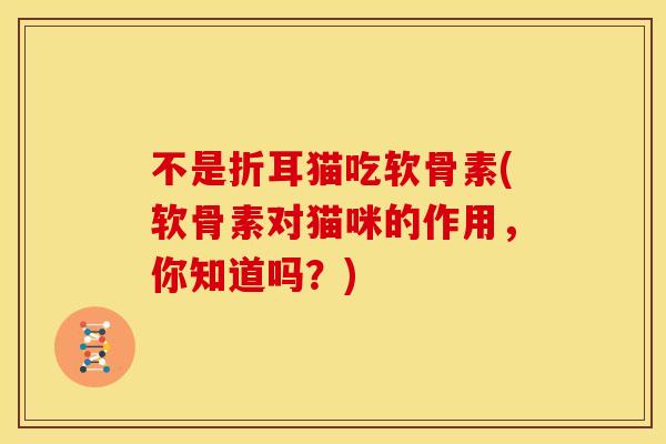 不是折耳猫吃软骨素(软骨素对猫咪的作用，你知道吗？)
