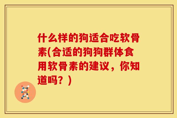 什么样的狗适合吃软骨素(合适的狗狗群体食用软骨素的建议，你知道吗？)