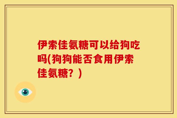 伊索佳氨糖可以给狗吃吗(狗狗能否食用伊索佳氨糖？)