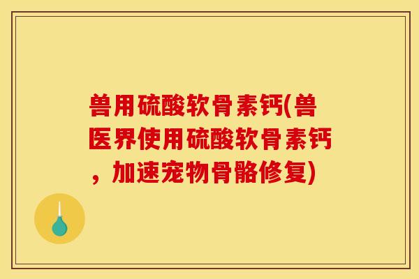 兽用硫酸软骨素钙(兽医界使用硫酸软骨素钙，加速宠物骨骼修复)-第1张图片-关节骑士