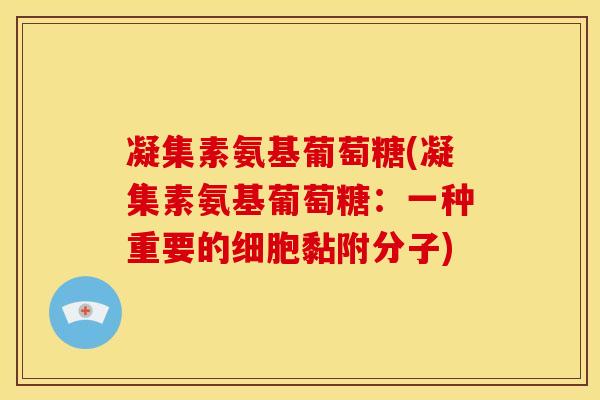 凝集素氨基葡萄糖(凝集素氨基葡萄糖：一种重要的细胞黏附分子)
