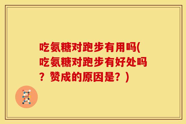 吃氨糖对跑步有用吗(吃氨糖对跑步有好处吗？赞成的原因是？)