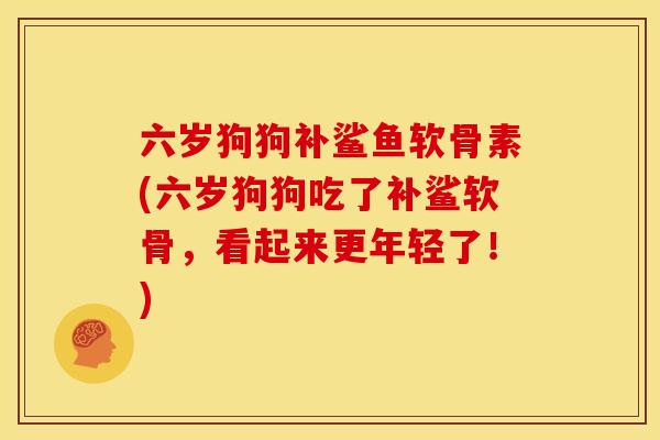 六岁狗狗补鲨鱼软骨素(六岁狗狗吃了补鲨软骨，看起来更年轻了！)