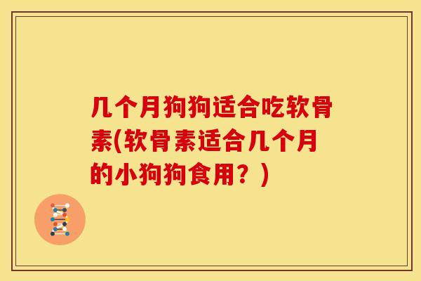几个月狗狗适合吃软骨素(软骨素适合几个月的小狗狗食用？)