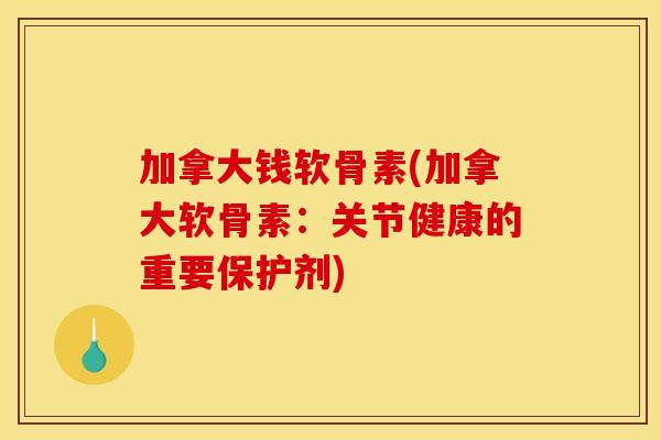 加拿大钱软骨素(加拿大软骨素：关节健康的重要保护剂)