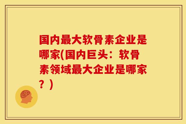 国内最大软骨素企业是哪家(国内巨头：软骨素领域最大企业是哪家？)