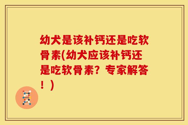 幼犬是该补钙还是吃软骨素(幼犬应该补钙还是吃软骨素？专家解答！)