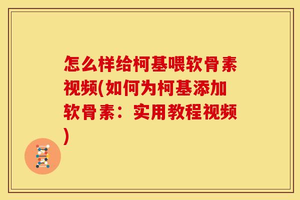 怎么样给柯基喂软骨素视频(如何为柯基添加软骨素:实用教程视频)-第1张图片-关节骑士 怎么样给柯基喂软骨素视频(如何为柯基添加软骨素:实用教程视频)-第1张图片-关节骑士