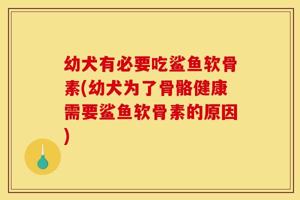 幼犬有必要吃鲨鱼软骨素(幼犬为了骨骼健康需要鲨鱼软骨素的原因)-第1张图片-关节骑士