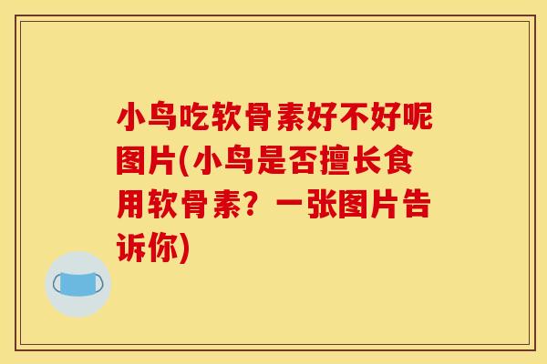 小鸟吃软骨素好不好呢图片(小鸟是否擅长食用软骨素？一张图片告诉你)