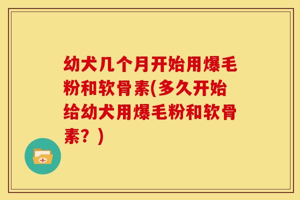 幼犬几个月开始用爆毛粉和软骨素(多久开始给幼犬用爆毛粉和软骨素?)-第1张图片-关节骑士 幼犬几个月开始用爆毛粉和软骨素(多久开始给幼犬用爆毛粉和软骨素?)-第1张图片-关节骑士