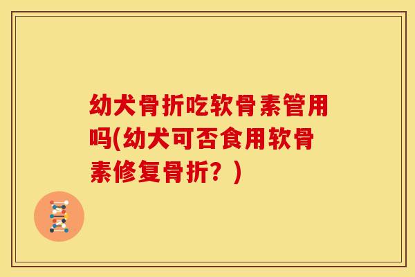 幼犬骨折吃软骨素管用吗(幼犬可否食用软骨素修复骨折？)