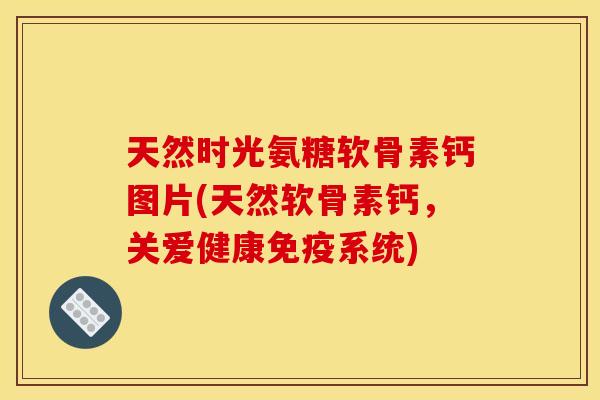 天然时光氨糖软骨素钙图片(天然软骨素钙，关爱健康免疫系统)