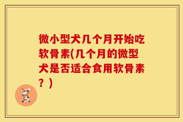 微小型犬几个月开始吃软骨素(几个月的微型犬是否适合食用软骨素？)-第1张图片-关节骑士