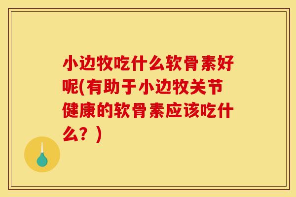 小边牧吃什么软骨素好呢(有助于小边牧关节健康的软骨素应该吃什么？)