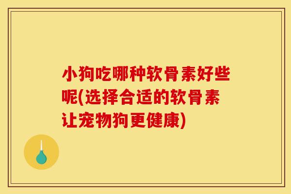 小狗吃哪种软骨素好些呢(选择合适的软骨素让宠物狗更健康)