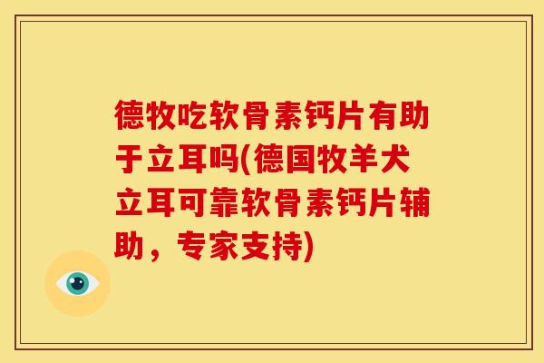 德牧吃软骨素钙片有助于立耳吗(德国牧羊犬立耳可靠软骨素钙片辅助，专家支持)-第1张图片-关节骑士