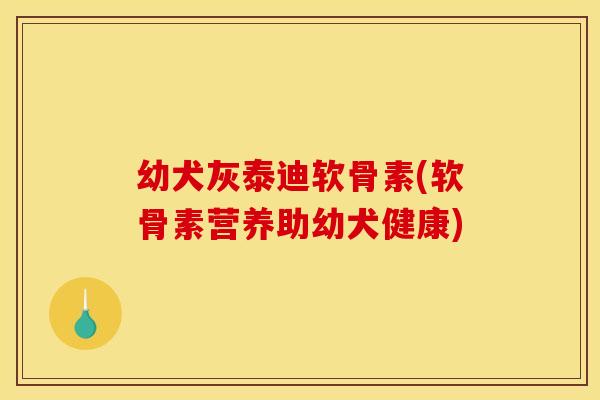 幼犬灰泰迪软骨素(软骨素营养助幼犬健康)