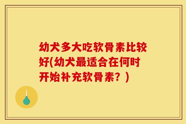 幼犬多大吃软骨素比较好(幼犬最适合在何时开始补充软骨素？)-第1张图片-关节骑士