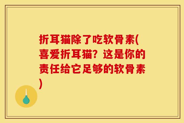 折耳猫除了吃软骨素(喜爱折耳猫？这是你的责任给它足够的软骨素)