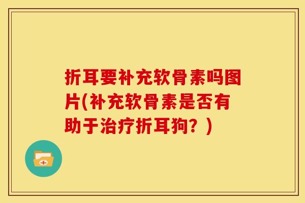 折耳要补充软骨素吗图片(补充软骨素是否有助于治疗折耳狗?)-第1张图片-关节骑士 折耳要补充软骨素吗图片(补充软骨素是否有助于治疗折耳狗?)-第1张图片-关节骑士